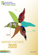 Rapport d'activité CEN 2020