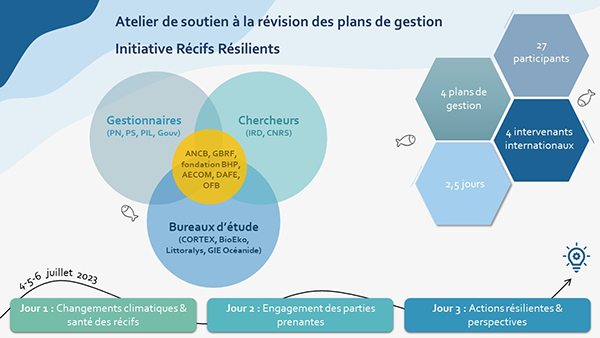 Infographie