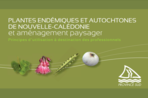 Aménagement paysager à partir de plantes autochtones