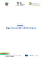 Annexe 1 - Compte rendu