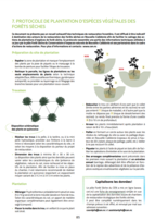 Annexe 7 - Protocole de plantation