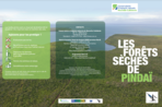 Dépliant de présentation de la forêt sèche - Pindaï