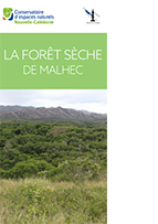 Dépliant de présentation de la forêt sèche - Malhec