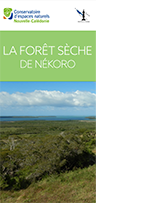 Dépliant de présentation de la forêt sèche - Nékoro