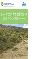 Dépliant de présentation de la forêt sèche - Pointe Maa