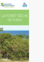 Dépliant de présentation de la forêt sèche - Porwi