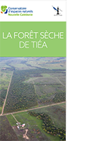 Dépliant de présentation de la forêt sèche - Tiéa