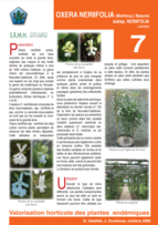 Fiche de présentation Oxera Neriifolia