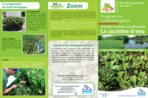 Lutte biologique contre la Jacinthe d'eau